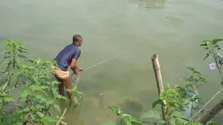 Net Fishing | Catching Fish With Cast Net | Net Fishing in the village (Part-225)