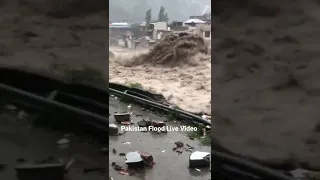 Pakistan Flood Live Video #shorts #emergency #flood #disaster