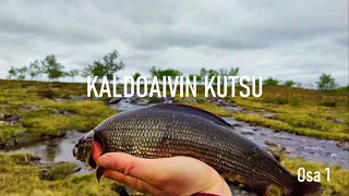 Kaldoaivin kutsu - Call of the Wilderness 1 (4K Eng subs.)