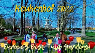 KEUKENHOF GARDENS SPRING 2022 | Europe's BEST TULIP Gardens | Places to Visit in The Netherlands