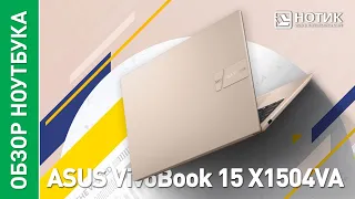 Офисный ноутбук ASUS VivoBook 15 (X1504VA) – сделан на совесть для комфортной работы