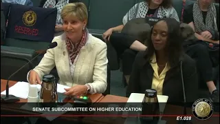 Texas Senate Committee On Higher Education 5 14 2024 Panel Five