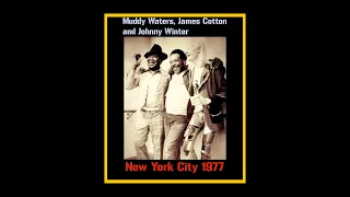 Muddy Waters, James Cotton and Johnny Winter - New York City 1977  (Complete Bootleg)