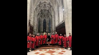 Kyrie eleison VI. | Gregorian chant (Schola cantorum Rosenbergensis, Slovakia)