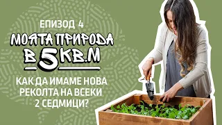 еп.4 Пролетни зеленчуци на балкона | Сериал "Моята природа в 5 кв.м." | Градско градинарство