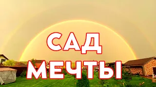 как посадить плодовый сад, подготовка почвы, выбор саженцев и места, способа посадки или сад мечты