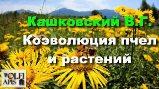 #Кашковский В.Г. Коэволюция пчел и растений