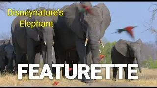 Disneynature's Elephant Featurette Disney+ Narrated by Meghan The Duchess of Sussex