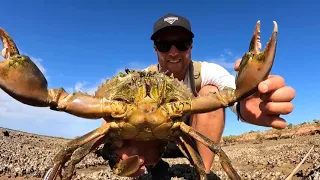 GIANT CRAB Catch and Cook   BOW n ARROW vs FISH   3
