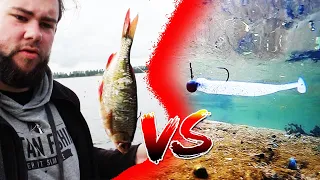 Das ist die größte Köder Lüge! Praxis Test Gummifisch vs Köderfisch zum Zanderangeln