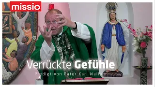 Verrückte Gefühle | Pater Karl Wallner | Predigt vom 01.10.2023