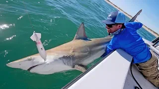 Best Topwater Shark Fishing Ever!!