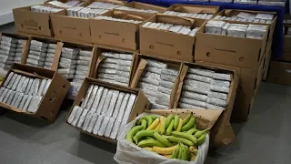 Bananenkistenweise Koks: Portugal beschlagnahmt 4,2 Tonnen Kokain