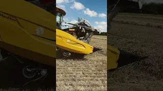 NewHolland CX 8.90 Combine with  MacDon Header check out the full video https://youtu.be/qMzvwWdLXjM