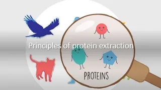 Principles of Protein Extraction