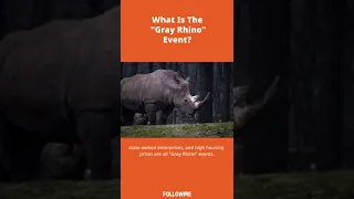 What is the  "Gray Rhino"  events?