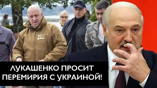 Лукашенко испугался наступления Украины! / Пригожин утратил влияние!