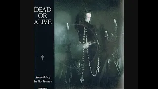 Dead Or Alive – Something In My House (1986) (Phil Harding Remix)