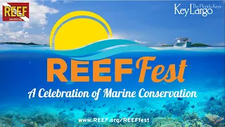 REEF Fest 2022 Seminar: Wonders of the Ocean: The World Beneath