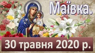 Маївка. 30 травня 2020.