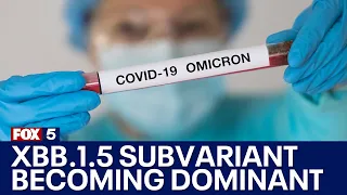 New XBB.1.5 subvariant becoming dominant COVID strain in U.S. | FOX 5 DC