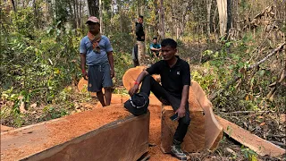 Environmental activists find illegal logging in Cambodia’s protected forests