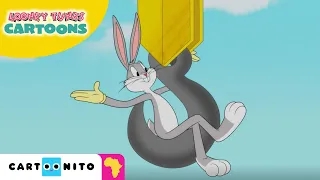 Construction Obstruction | Looney Tunes Cartoons | Cartoonito Africa