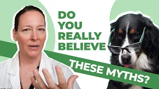 Top 10 Dog Myths: Debunked by a Veterinarian! 😱