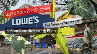 Big Box Store Plant Shopping Lowe's Plants 2024 Calloway's Nursery Tour