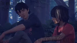 Sean and Daniel-I Never Meant To Hurt You/Life Is Strange 2 GMV