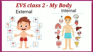 Class 2 EVS Topic - My Body |Body parts | Parts of the Body|  Learn Body parts | EVS grade 2 |