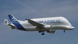 [FullHD] Airbus A300-600ST " Beluga" takeoff & landing at Toulouse/TLS/LFBO