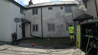 IVY TENDRIL REMOVAL - ECOWASH EXTERIOR CLEANING