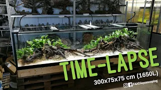 #FAAO #AQUAFLORA #AQUASCAPING 300x75x75 cm | Time-lapse | Nature Aquarium