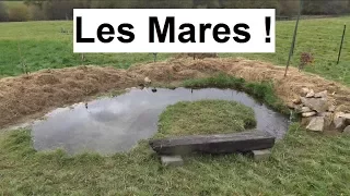 les mares