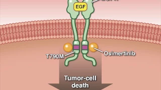 Osimertinib in Advanced Non–Small-Cell Lung Cancer