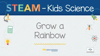 New Horizon Academy Kids STEAM How to Grow a Rainbow