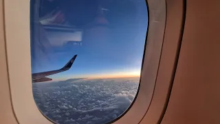 Best seat on Air New Zealand's A321neo|Trip report Brisbane to Auckland