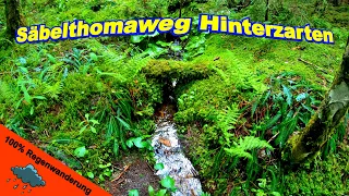 Säbelthomaweg Hinterzarten | Hochschwarzwald | epische Regenwanderung