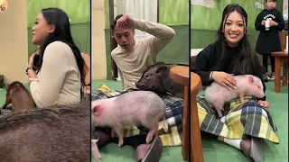 I VISITED 5 EXOTIC ANIMAL CAFES in TOKYO JAPAN 🐷🦔🦉