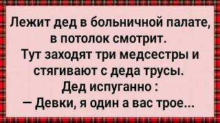 Три Медсестры в Палате Деда Скрутили! Сборник Свежих Анекдотов! Юмор!