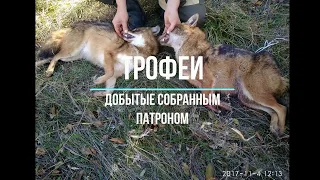 Самокрут. Лучший патрон на гуся и зайца