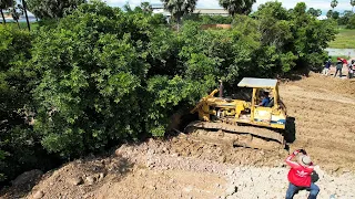 Absolute Insane Skills Operator Heavy Equipment Bulldozer Dump Truck Working For Land Filling