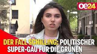 Der Fall Schilling: Politischer Super-GAU für die Grünen