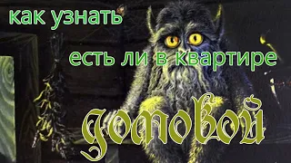 Способы определения домового в квартире или доме. Как узнать если в доме домовой