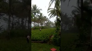 simpleng buhay na MAKULAY... ediblefern farming in Dingalan Aurora..