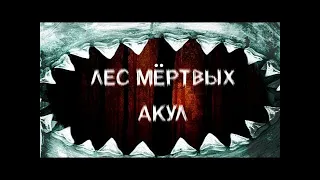 Лес мёртвых акул   Forest of the dead sharks 2019 Фильм ужасов