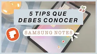 GUÍA para utilizar SAMSUNG NOTES: Tips y trucos para tus apuntes | HardPeach Tab 🍑