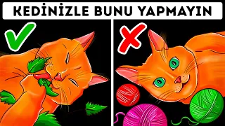 Kedi Sahiplerinin Sürekli Yaptığı 26 Tehlikeli Hata