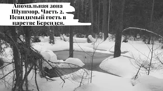 Аномальная зона Шушмор. Часть 2. Невидимый гость в царстве Берендея.